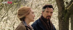 Doctor Strange in the Multiverse of Madness