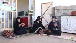 گوندی پەلکە ڕەش - ناحیەی ناوشوان