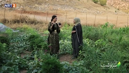 گوندی چنارنە - قەزای دوکان