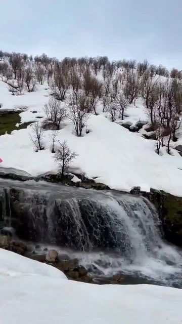 کوردستان