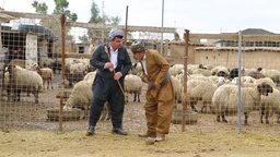 بەزمەکانی ژیان - 29