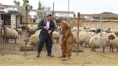 بەزمەکانی ژیان - 29