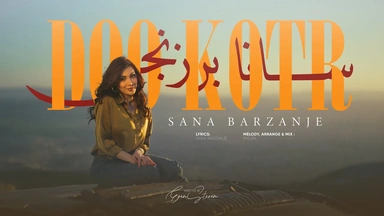 سانا بەرزنجی - دکتۆر