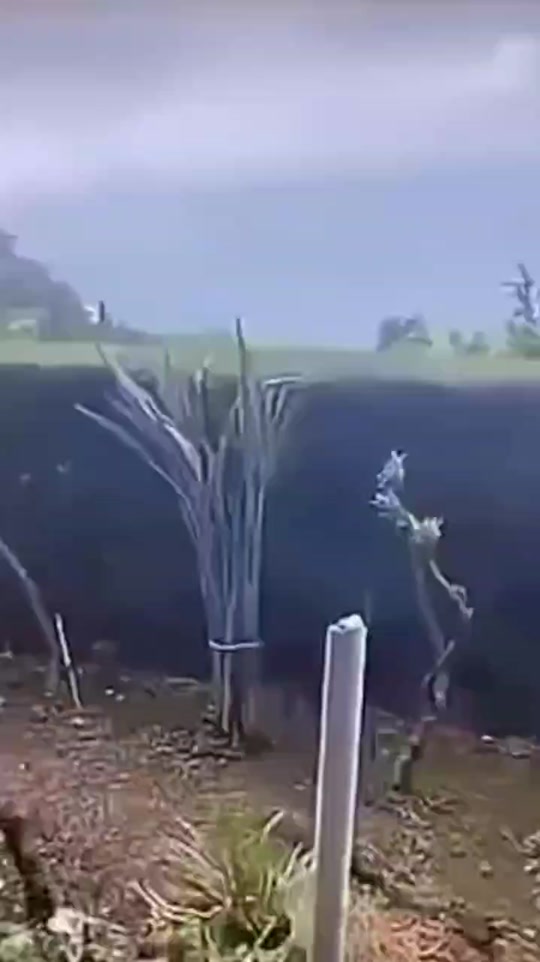 #fyp 7350584756628720902