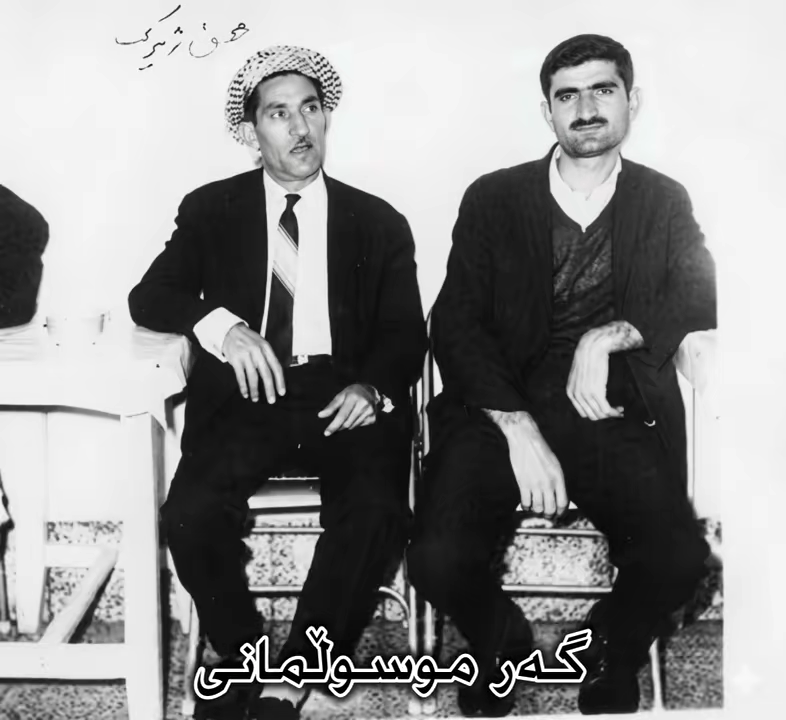 تۆ بیتو🖤🌹#حەسەنزیرەک #hasanzirak #kurdistan #کوردستان #هەولێر سلێمانی...