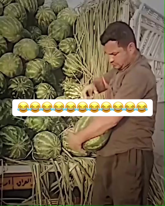 TikTok video #7534533178036325640 7534533178036325640