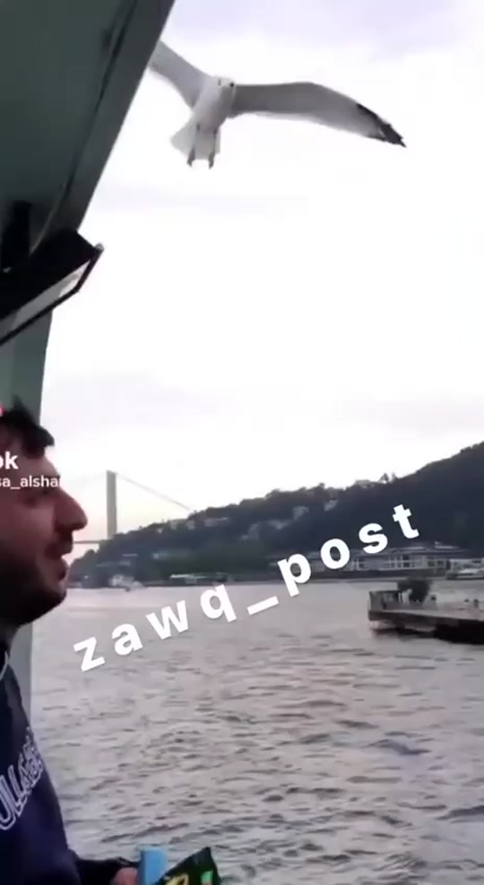 #fyp 7262051726243433734