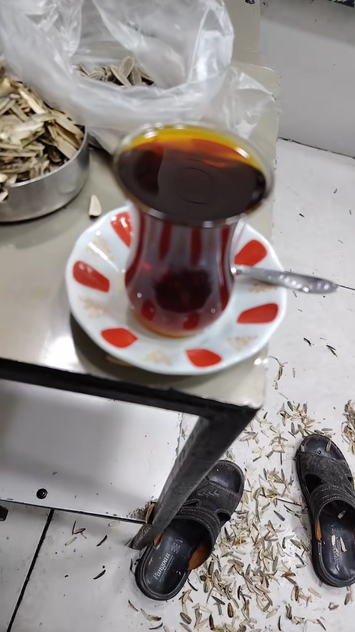 TikTok video #7604232525078220052