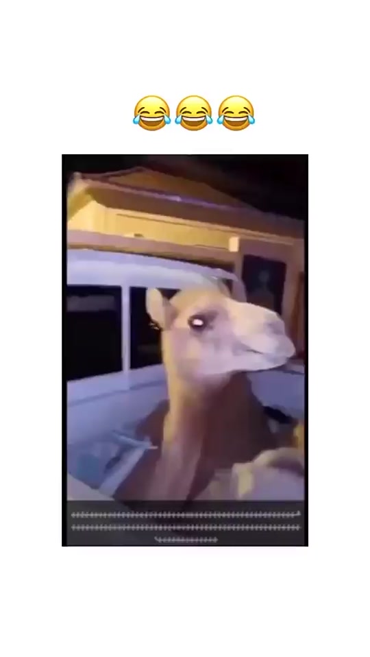 #fyp 7296426521038720262