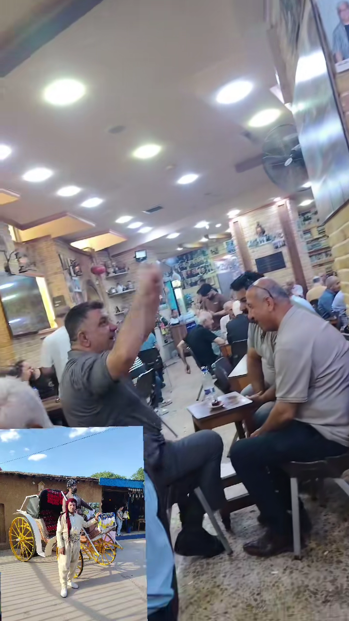 TikTok video #7655660654552010005