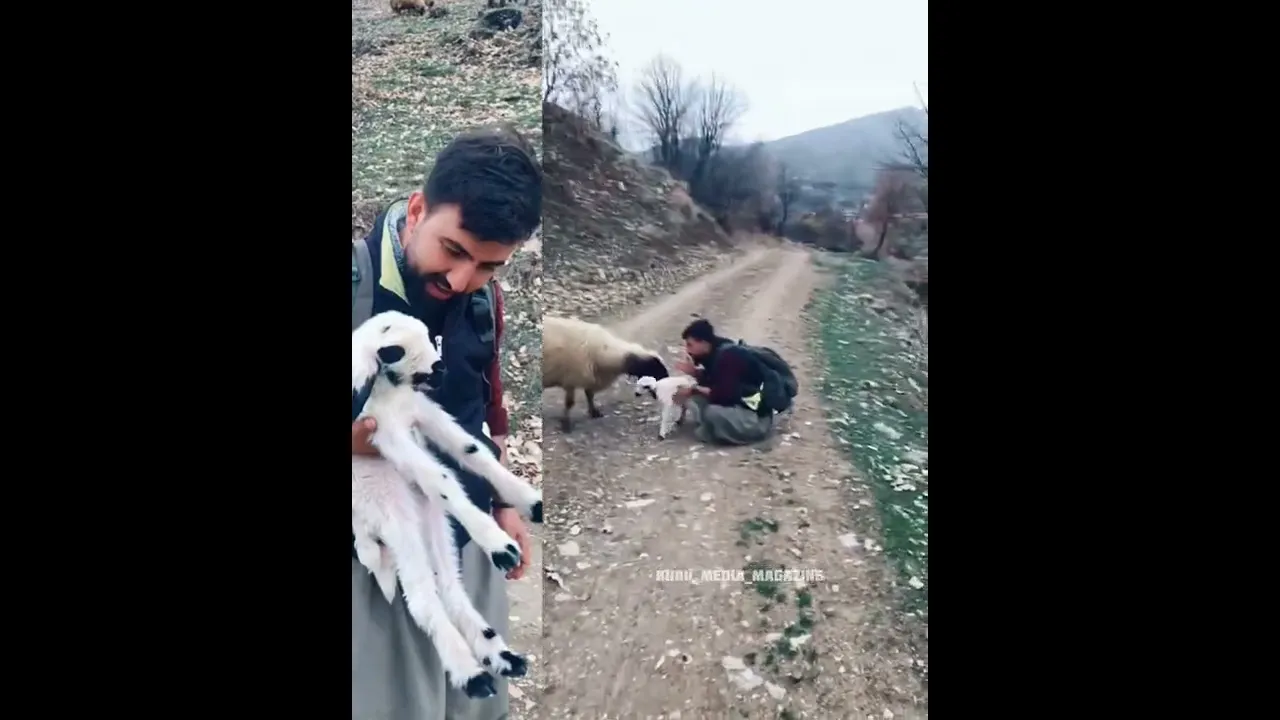 دڵی دایك چۆنه‌ بۆ ڕۆڵه‌كه‌ی 🥺