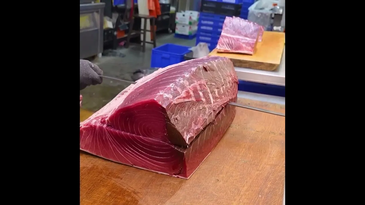 Not Food, It's Fortune $10000 Bluefine Tuna Cut Like Gold Lf