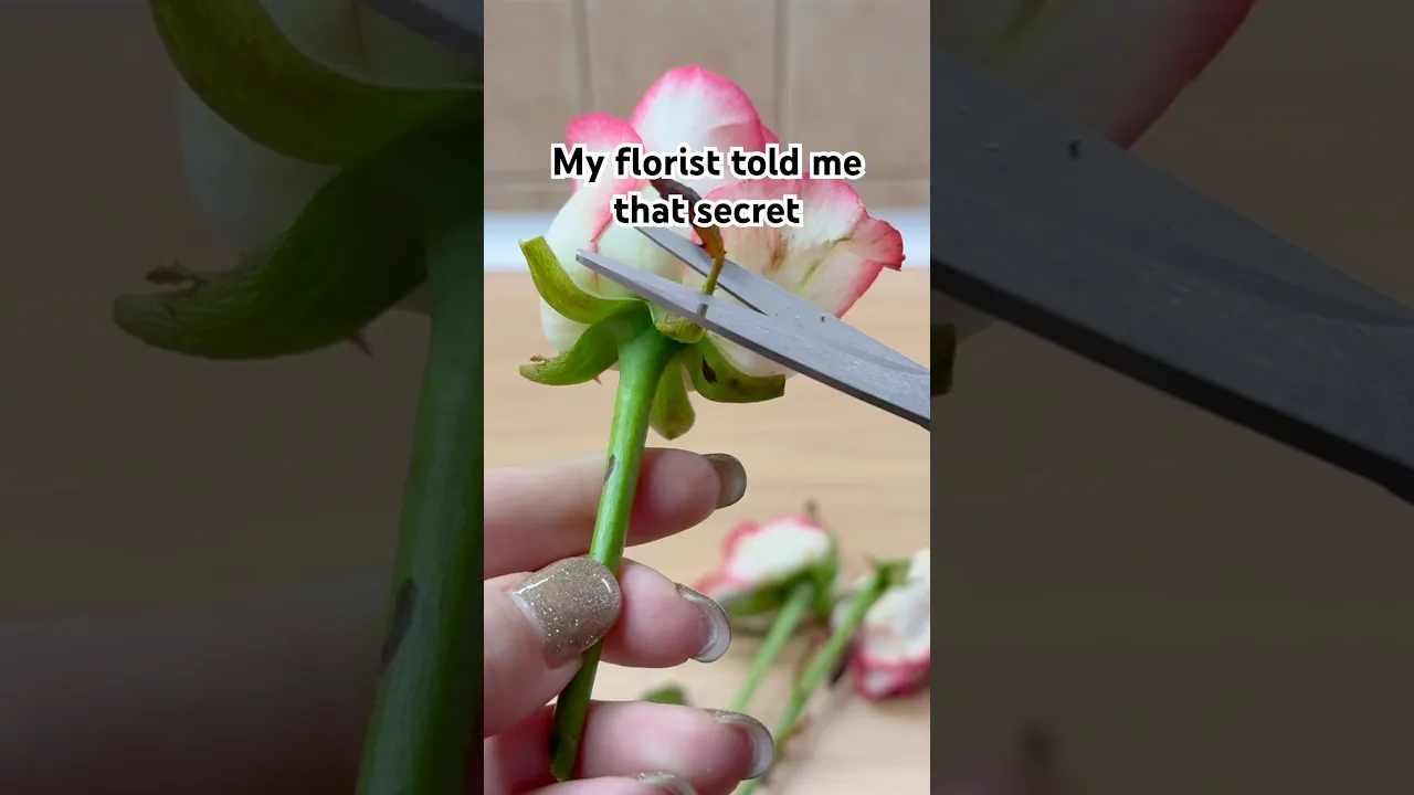 Never Toss Your Dying Flowers 🌹 #lifehacks #diy