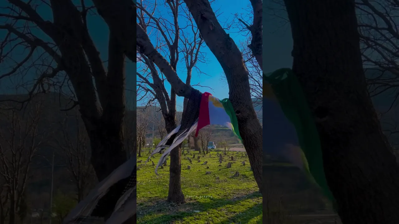 246 Kurdistan forever ✌️😍#kurdistan #viral #کورد #views #اكسبلور #shortvideo #kurdi #shorts