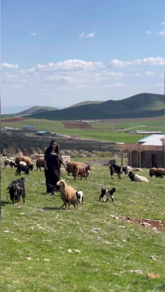 #viral #foryou #kurdstan #rozhhalatikurdistan #sayranosman ❤️