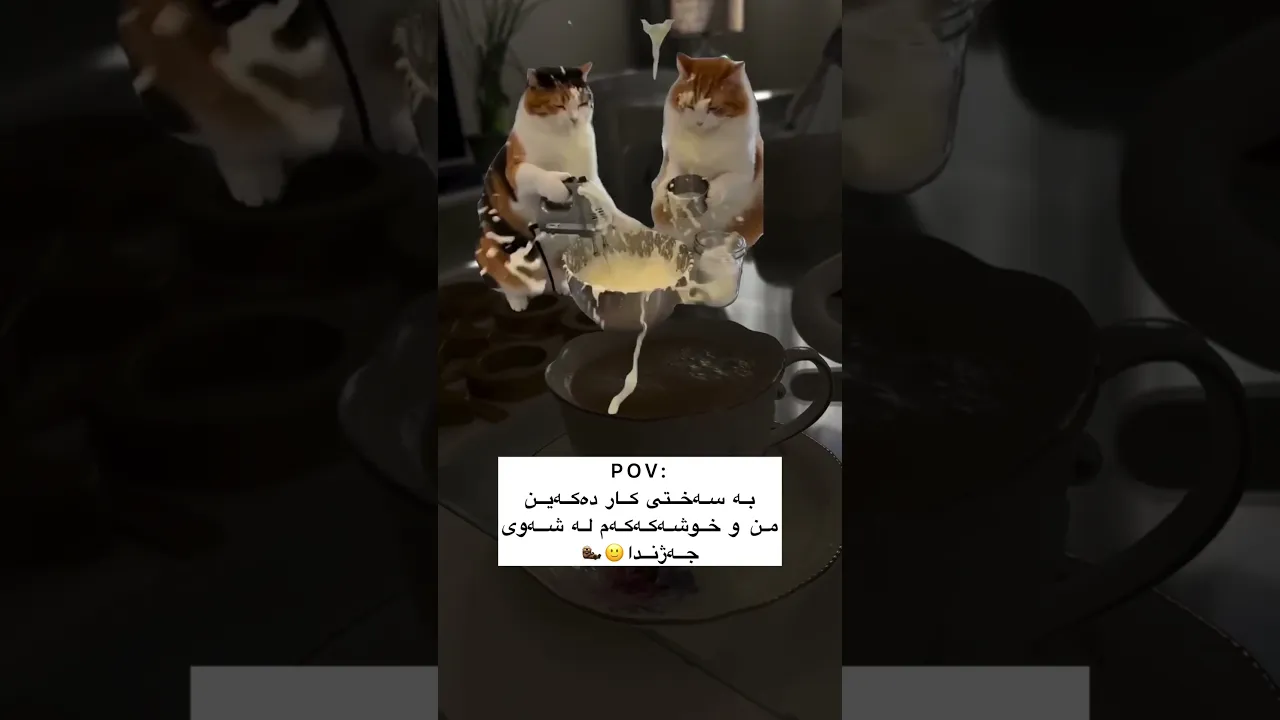 😂😂b