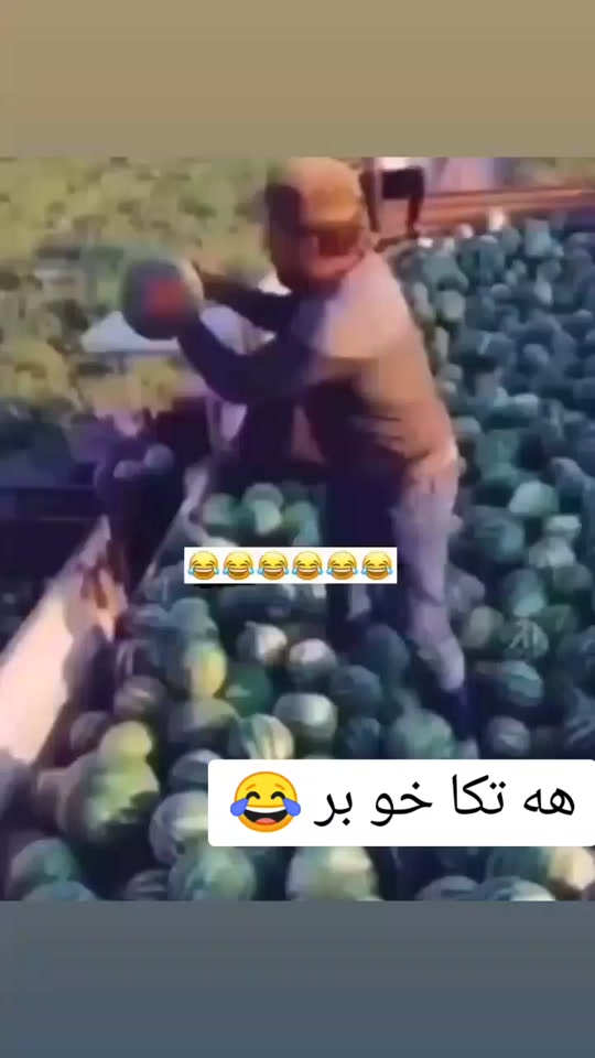 #fyp 7365599442927455495