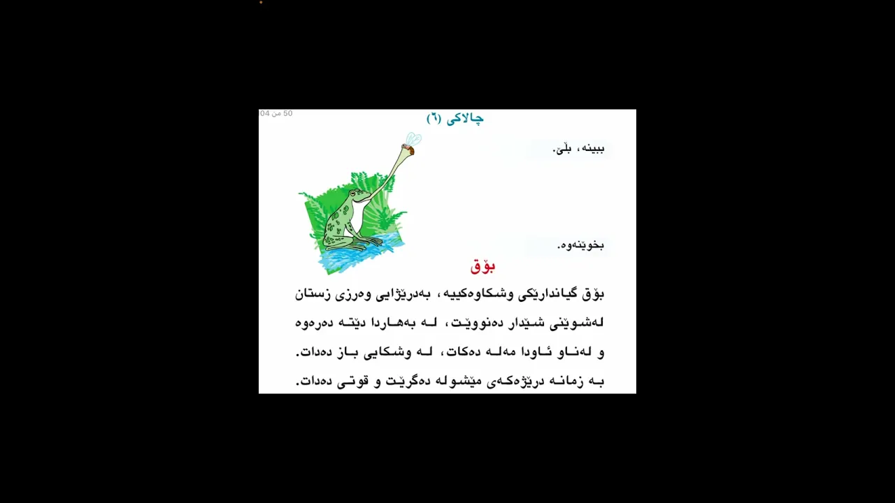 بۆق پۆلی ١