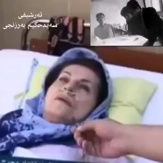 TikTok video #7535760284682652936