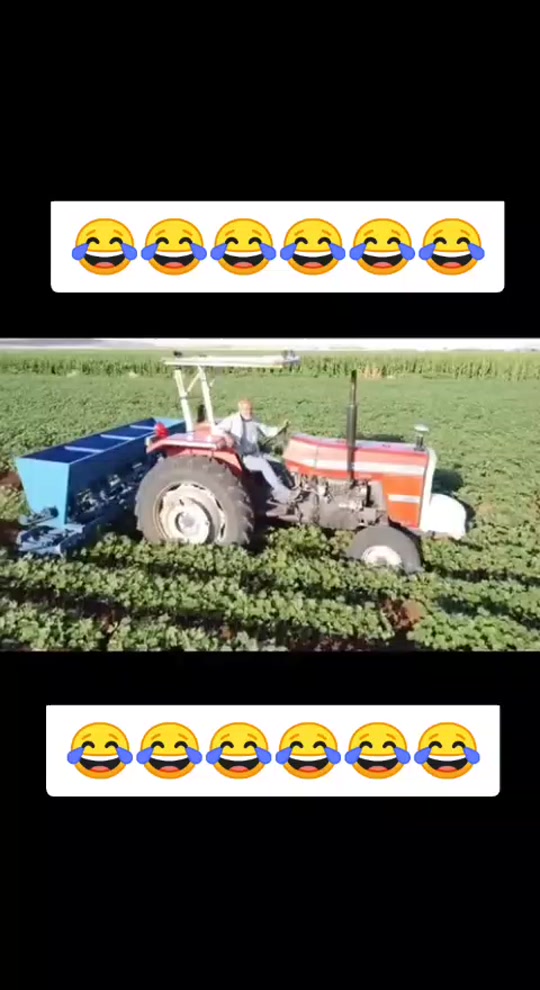 #fyp 7484032673967541512