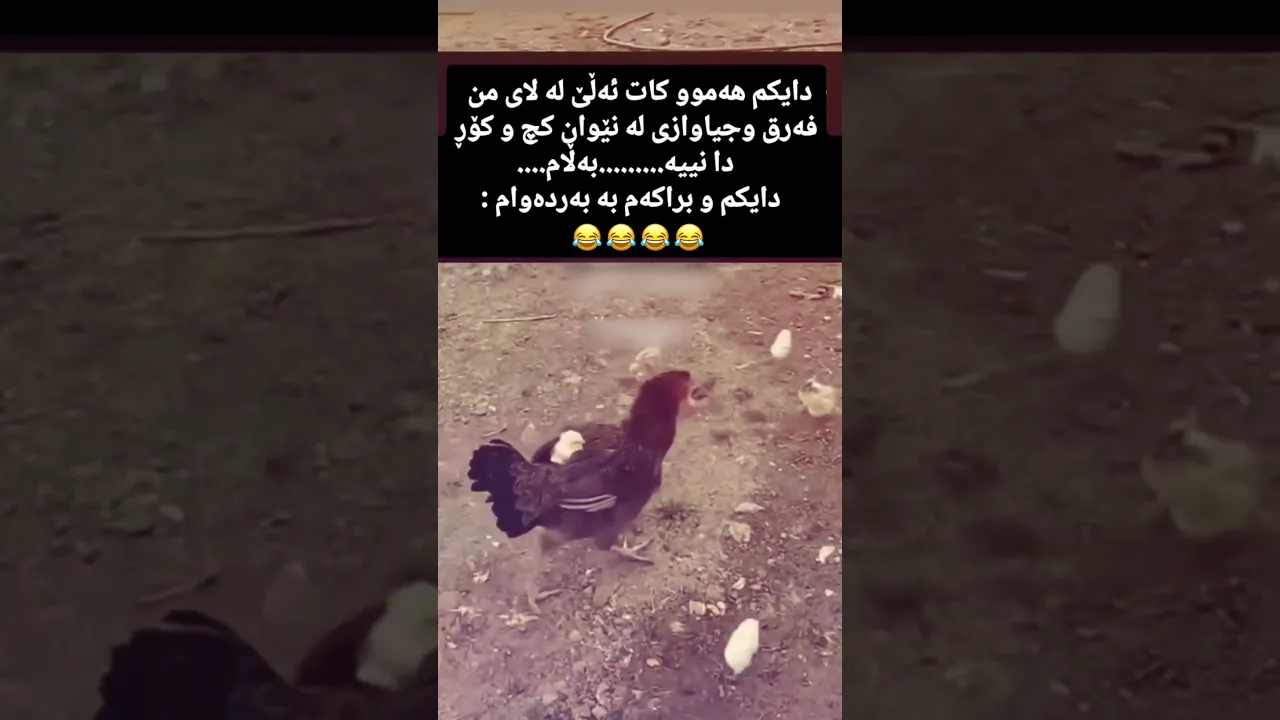 😂😭c