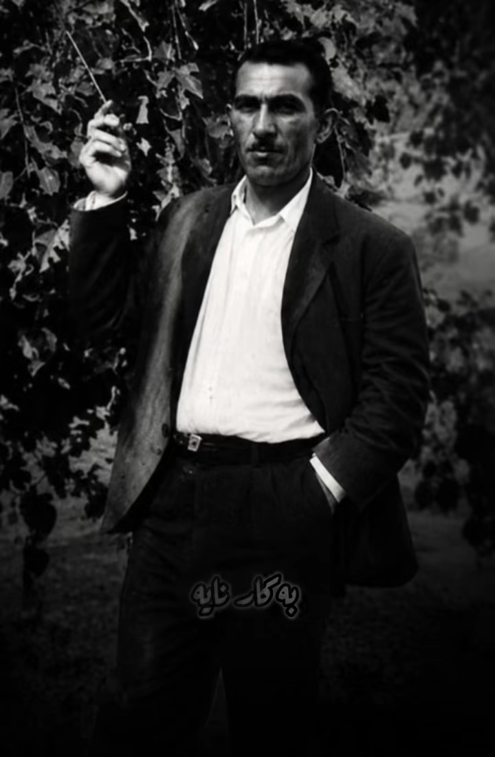حەسەن زیرەک بەبێ مۆسیقا🖤🌹#حەسەنزیرەک #hasanzirak #هەولێر سلێمانی دەهۆ...