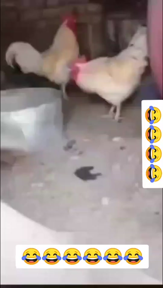 #fyp 7382870887831276818