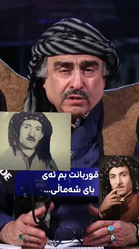 TikTok video #7559628525838355733