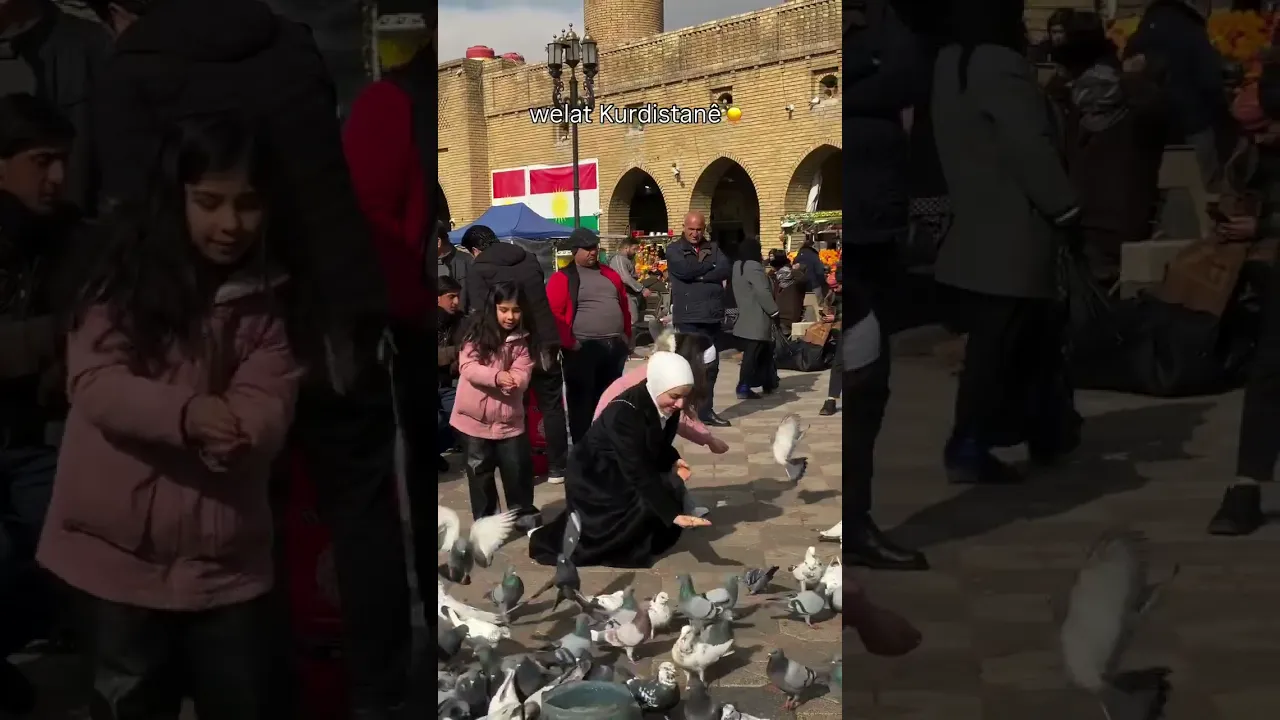 272 Kurdistan forever ✌️♾️#kurdistan #viral #کورد #views #اكسبلور #shortvideo #kurdi #shorts #croche