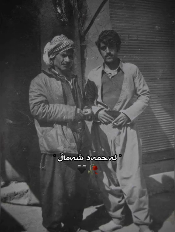 #زیرەک وهەموو دنیـا🔥🖤 #احمدشماڵ #کەرکوک هەولێر سلێمانی کۆیە دهۆک #فۆڵ...