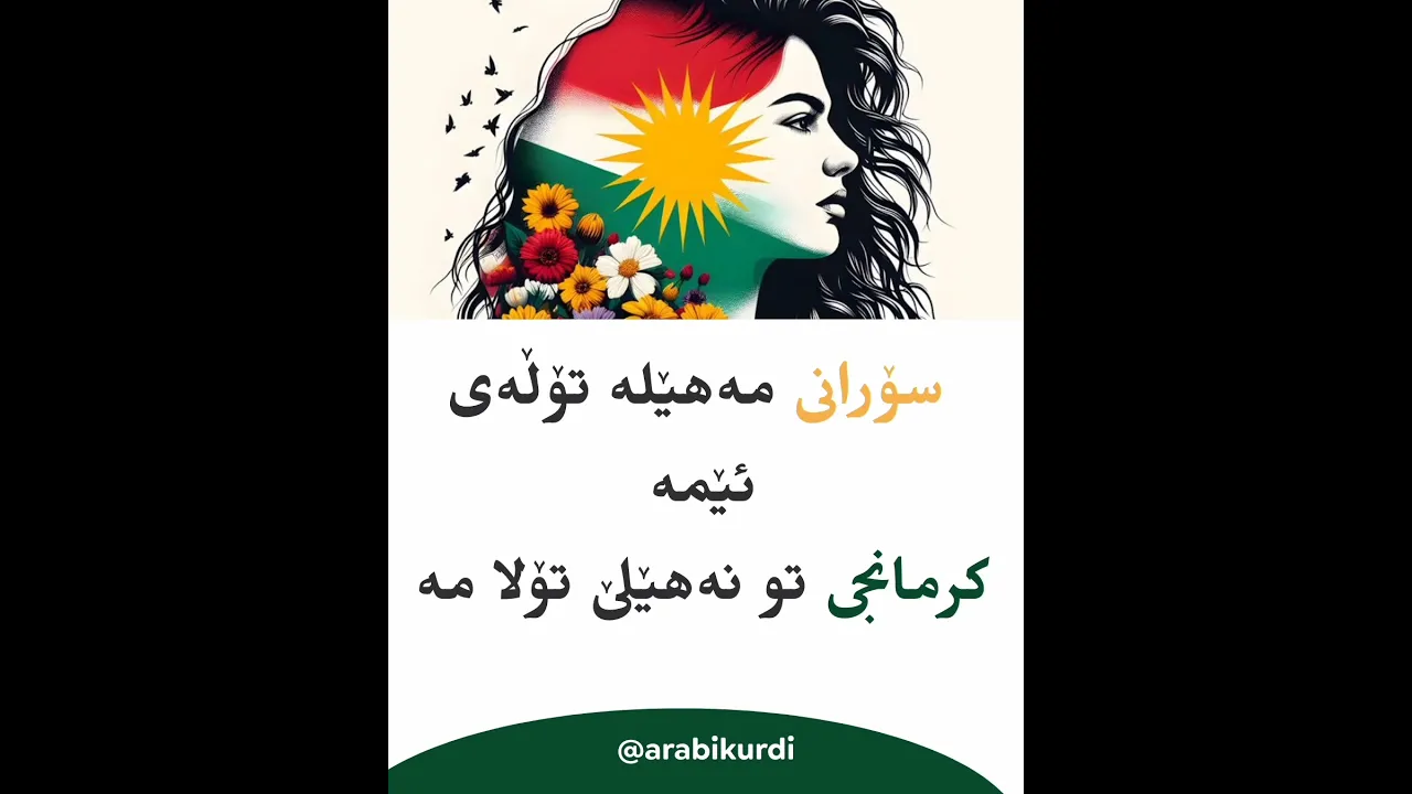 بەپێی داواکاری ئێوە 🤍 وەرگێڕانی گۆرانی شەڕڤانۆ کۆپلەی یەکەم سۆرانی و کرمانجی❤️☀️💚 #مامۆستاسندس