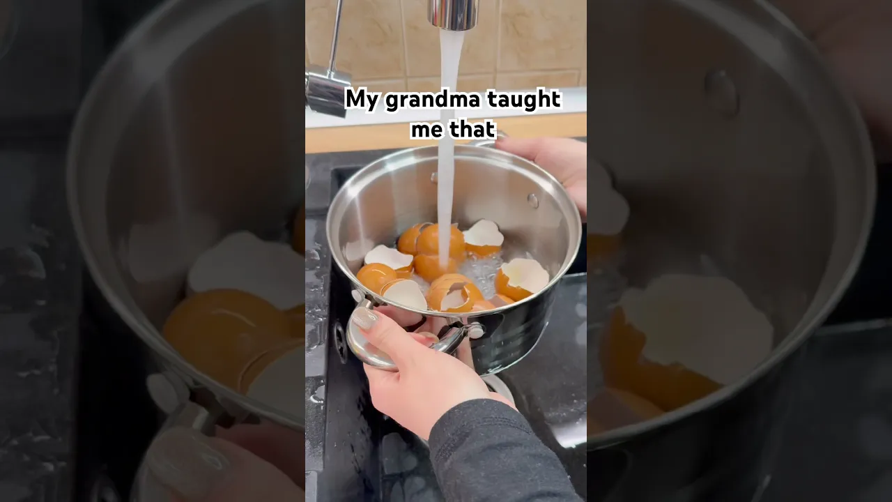Don’t throw away eggshells before watching this✅#reallifehacks #diy