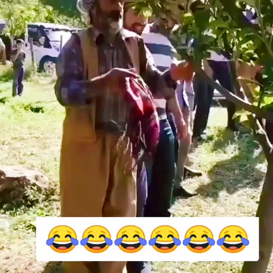 #fyp 7466485625890311432