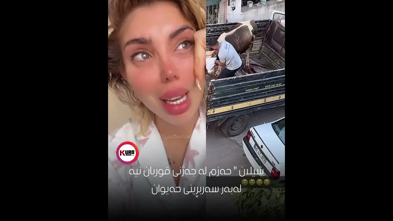 شیلان ＂ حه‌زم له‌ جه‌ژنی قوربان نیه‌ له‌به‌ر سه‌ربڕینی حه‌یوان
