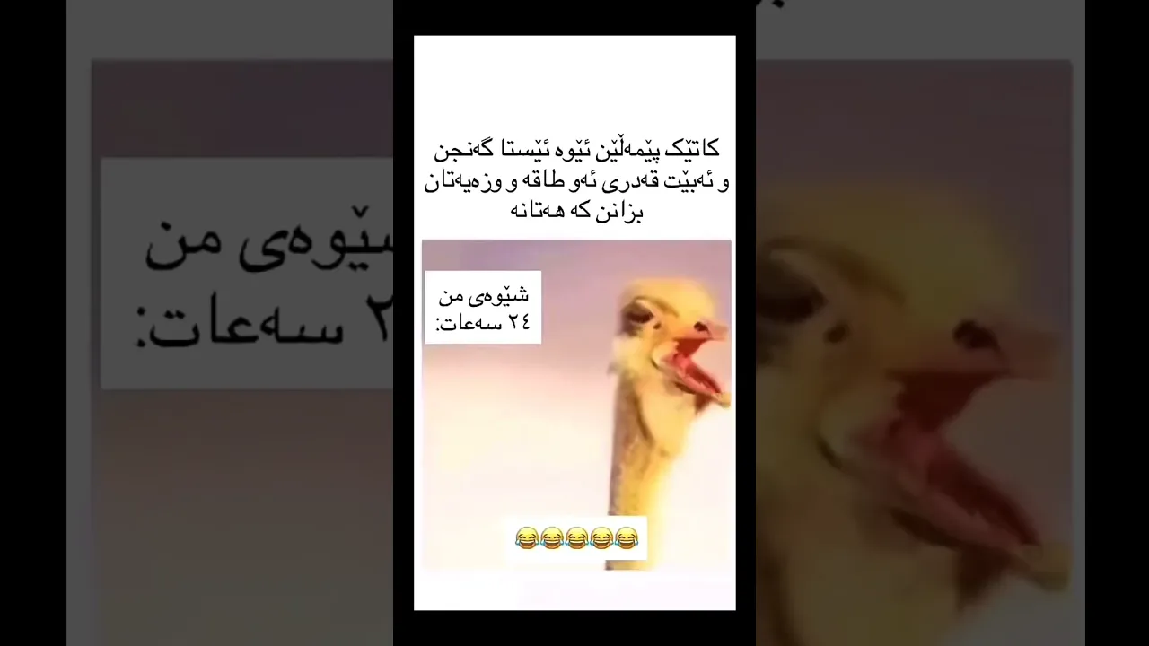 🦦🥱😂