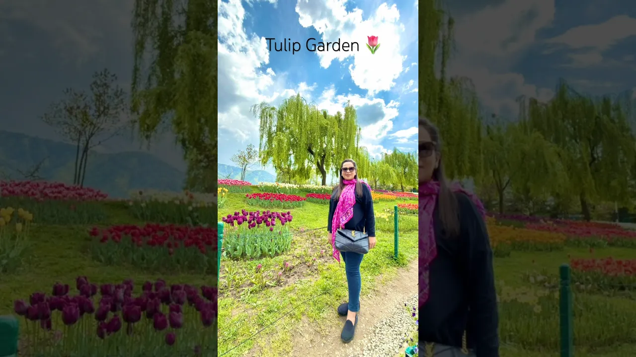 294 🌷👌Tulip Gardens 📍Srinagar (India) 🫶 #shorts #jktoursim #tulipgardenkashmir #viral #yt
