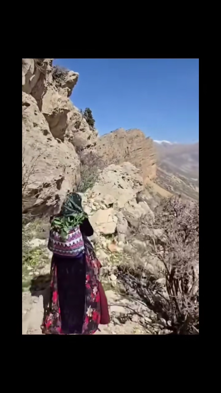 #hasanzirak #kurdmusic #kurdistan #kurdsong #hasanzirakbokan @Nabi Ma...