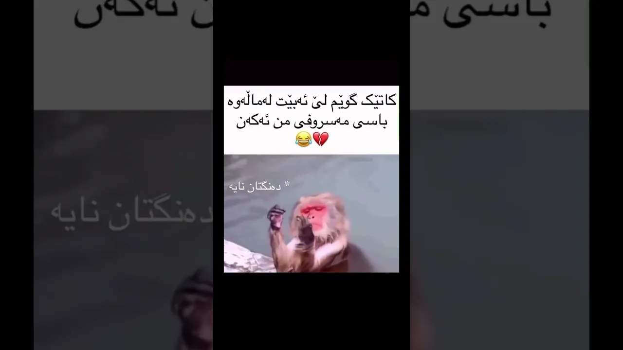 دەبێ خۆمان لە گێلی بدەین😭😂💔