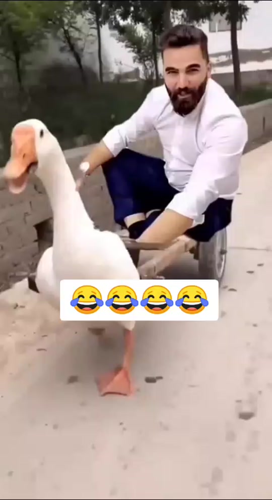 #fyp 7382996107925703954