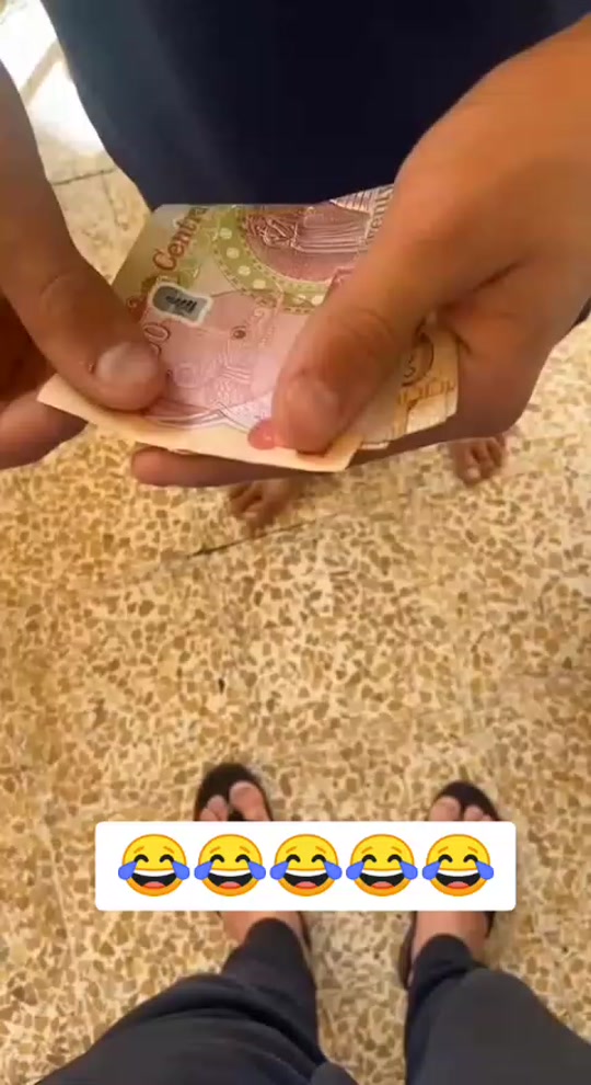 #fyp 7404783432267549960
