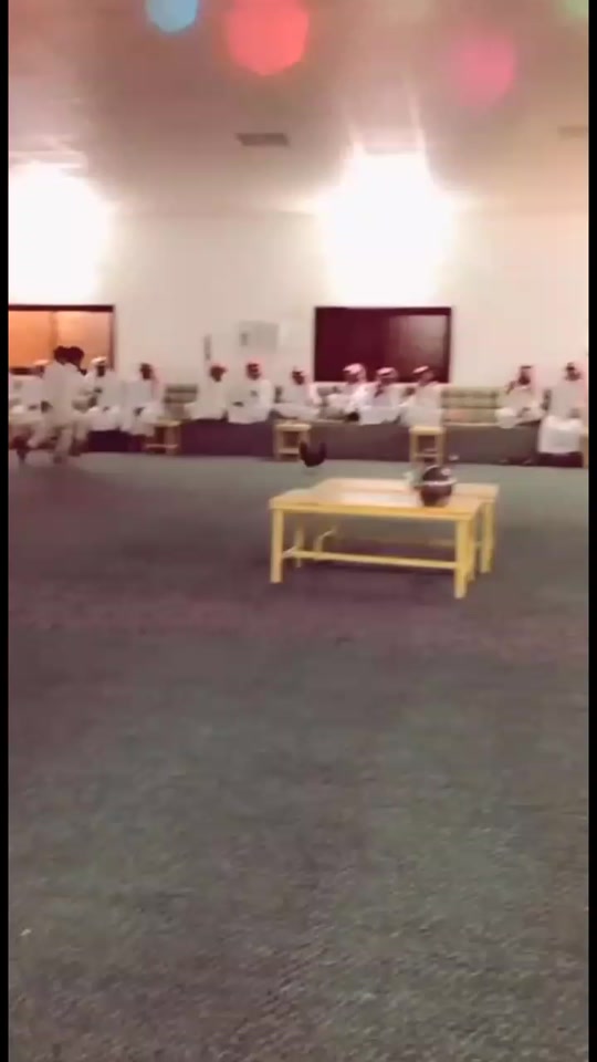 #fyp 7302457039664532741
