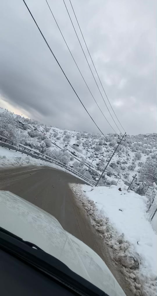 TikTok video #7053830653787278593