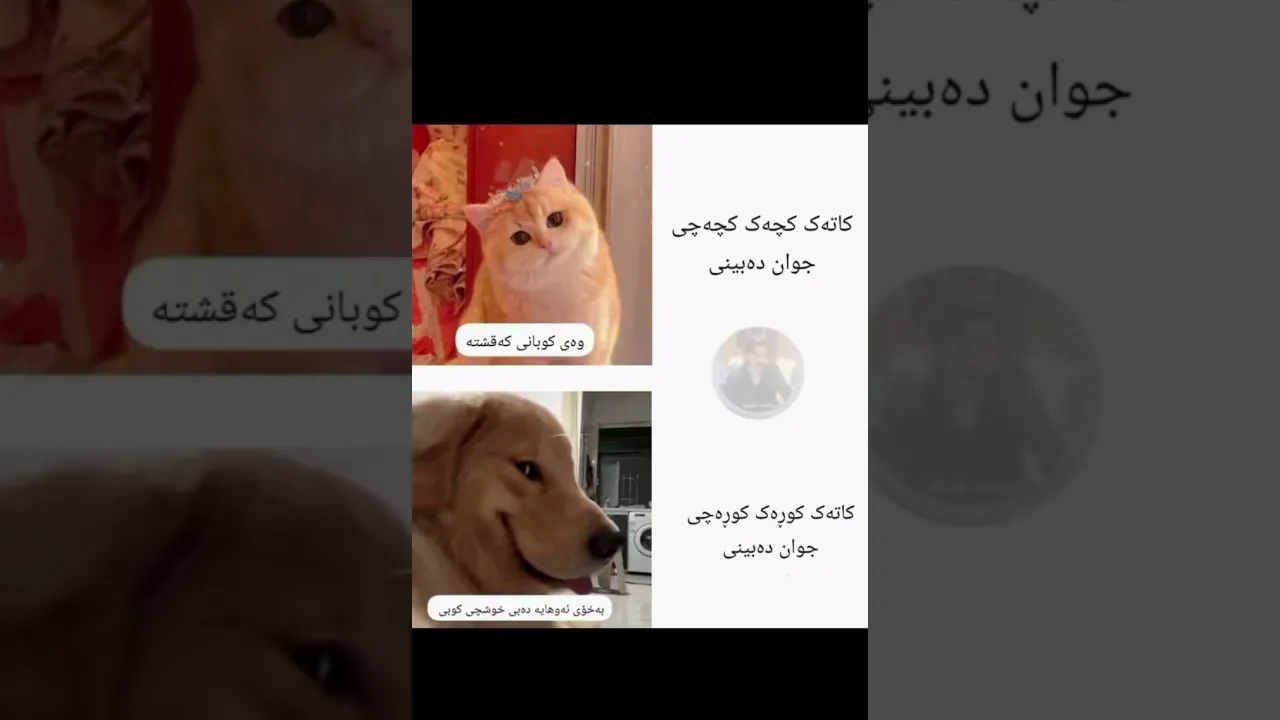 جـیـاوازی مـان زورە😂