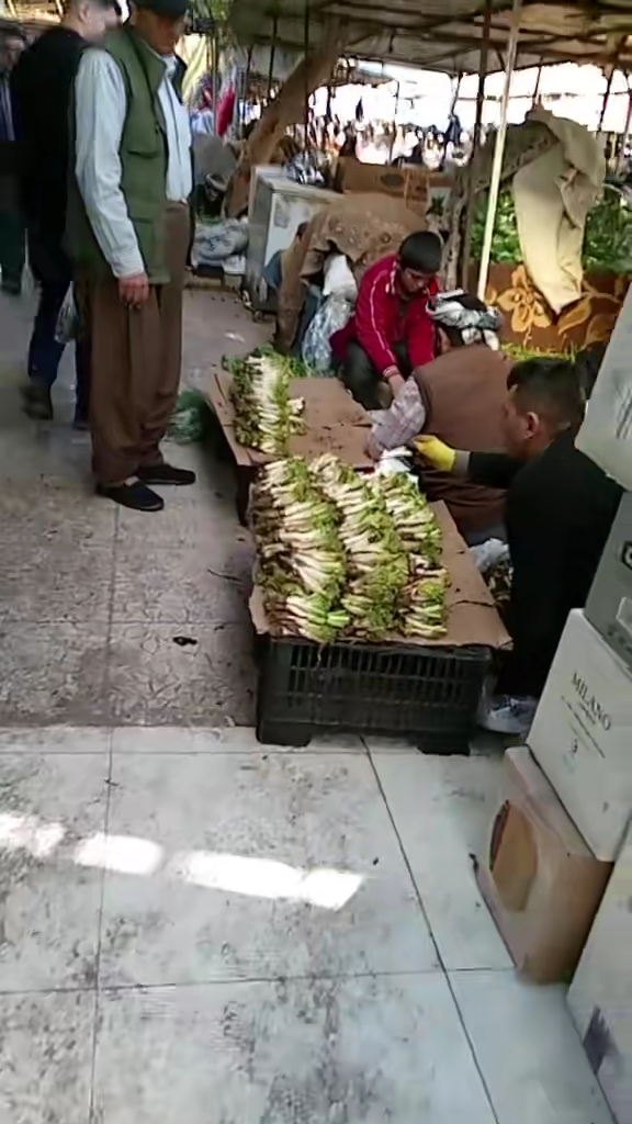 TikTok video #7345740030121446662