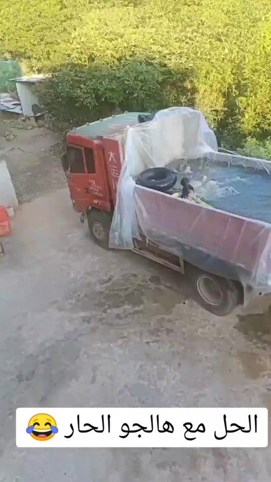 #fyp 7379894855054462216