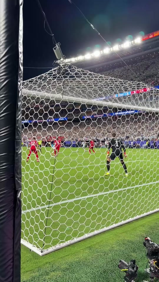 What. A. Goal. 🕸️ #FIFAWorldCup