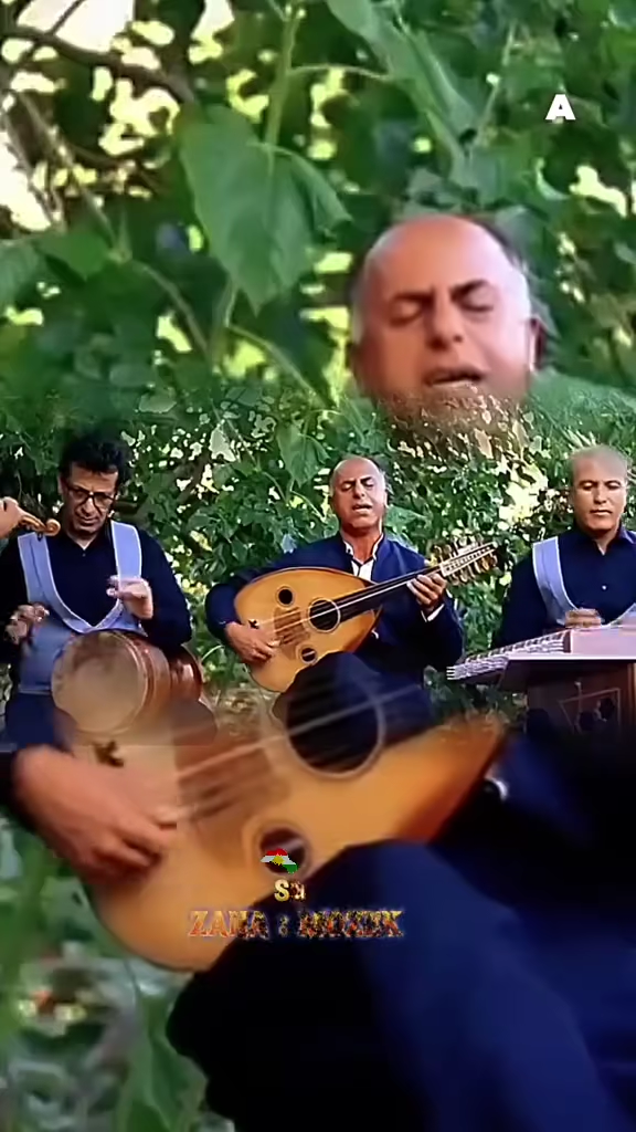 TikTok video #7653206509467307284