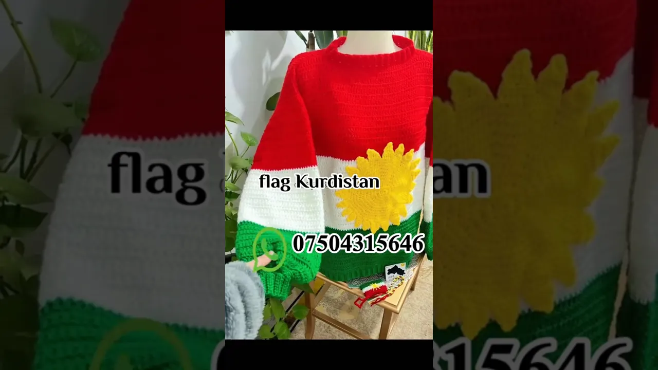265 flag Kurdistan forever ✌️#kurdistan #viral #کورد #views #اكسبلور #shortvideo #kurdi #shorts