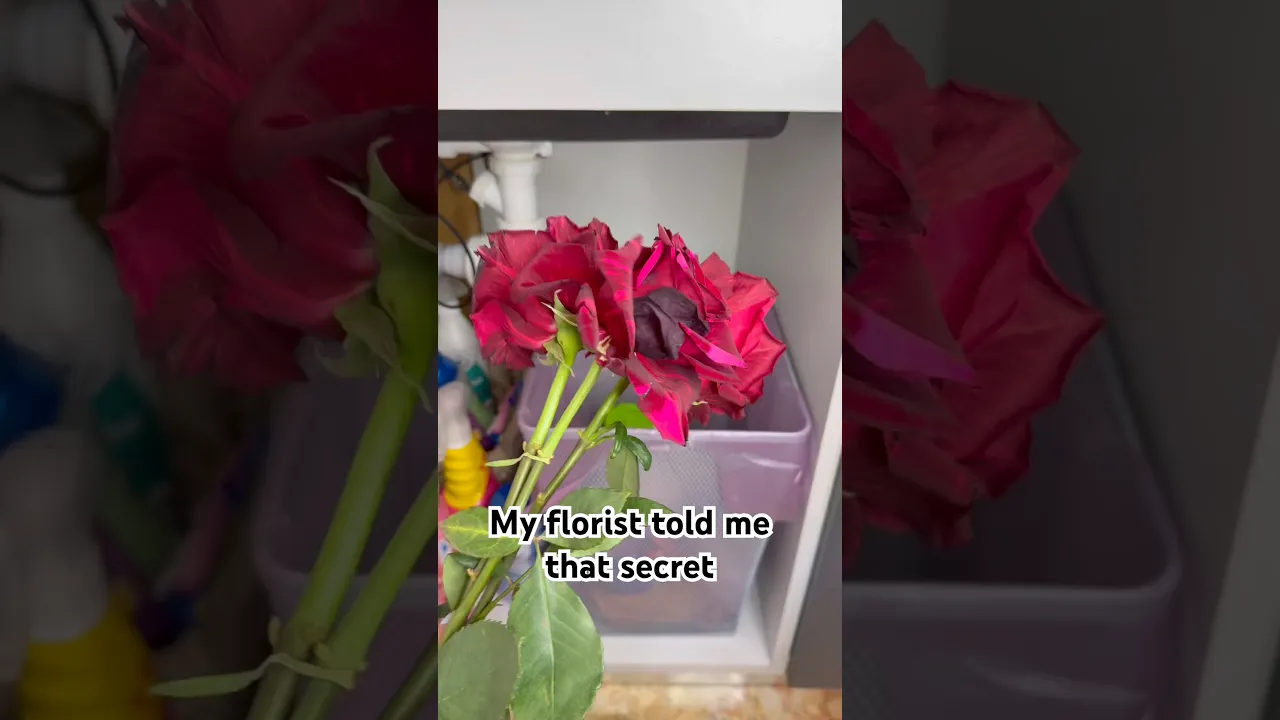 Don't throw your roses away after Women's Day🌹🥀#diy #secrethacks #womensday #flowers