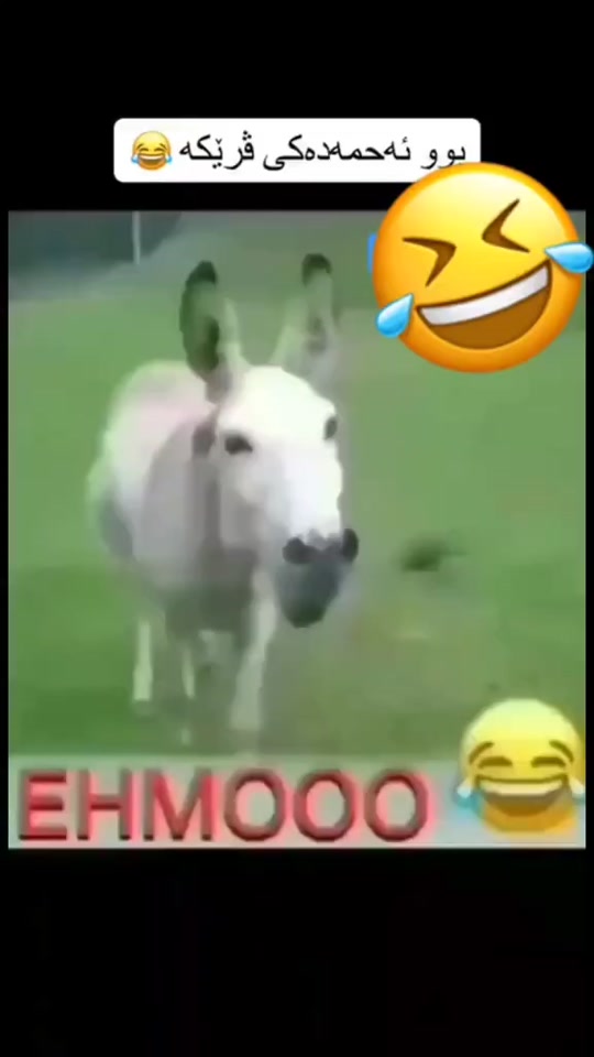 #fyp 7399470017680592136